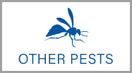 other pests
